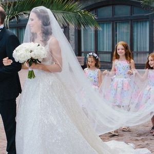 Long plain white veil